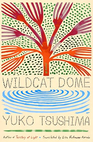 Cover of Wildcat Dome