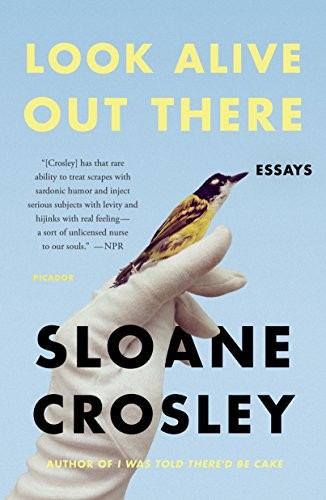 Cover of Look alive out there