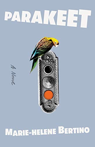 Cover of Parakeet