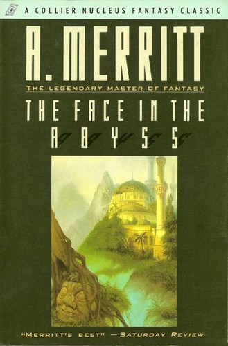 Cover of The Face in the Abyss