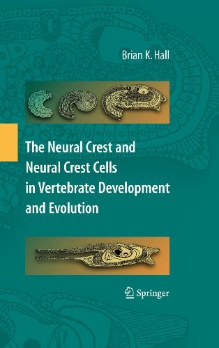 Cover of The Neural Crest and Neural Crest Cells in Vertebrate Development and Evolution (Springer series in solid-state sciences)