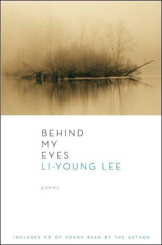 Cover of Behind My Eyes