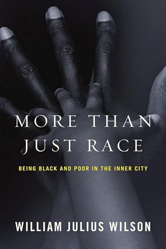 Cover of More than Just Race: Being Black and Poor in the Inner City