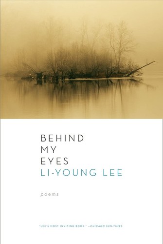 Cover of Behind My Eyes