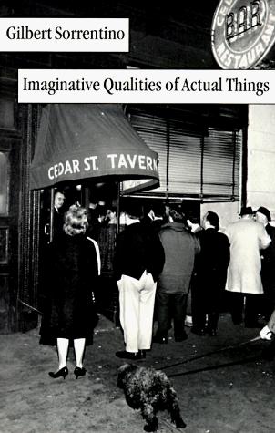 Cover of Imaginative qualities of actual things