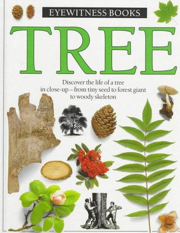 Cover of Tree