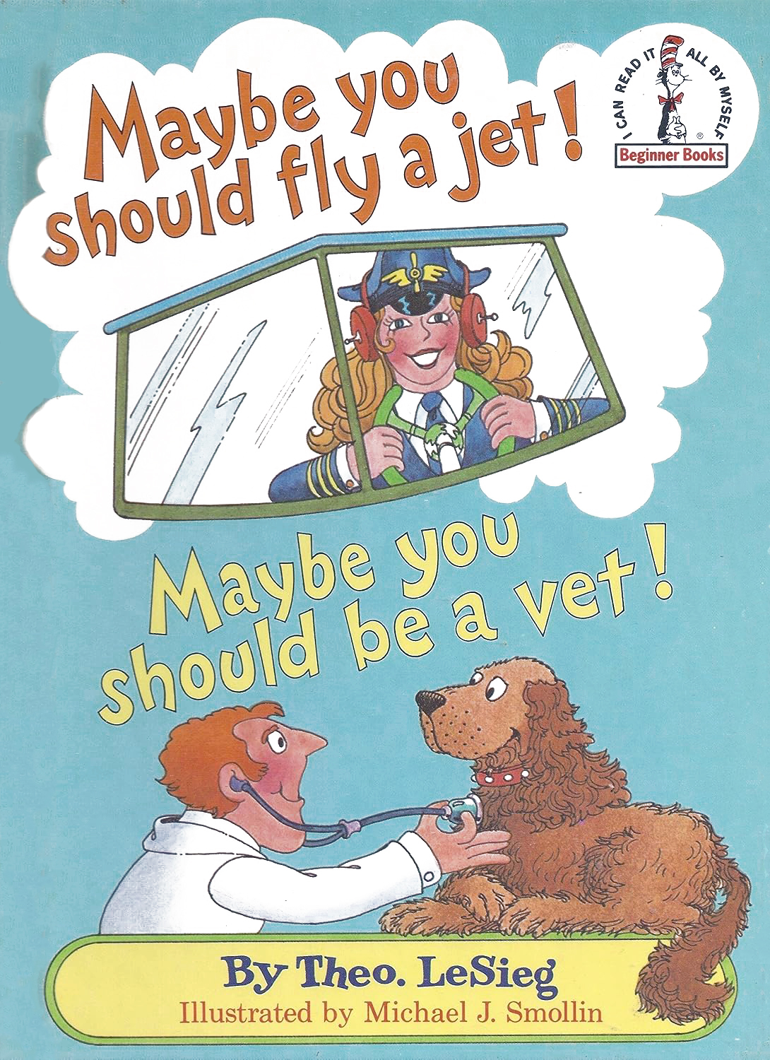 Cover of MAYBE YOU SHLD FLY JET
