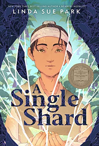 Cover of A Single Shard