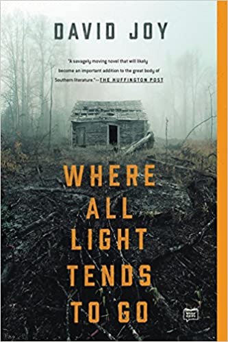 Cover of Where all light tends to go