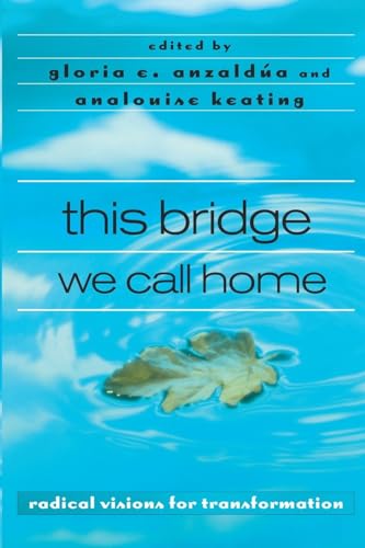 Cover of This bridge we call home