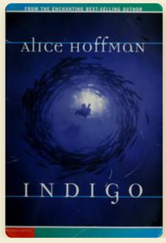 Cover of Indigo