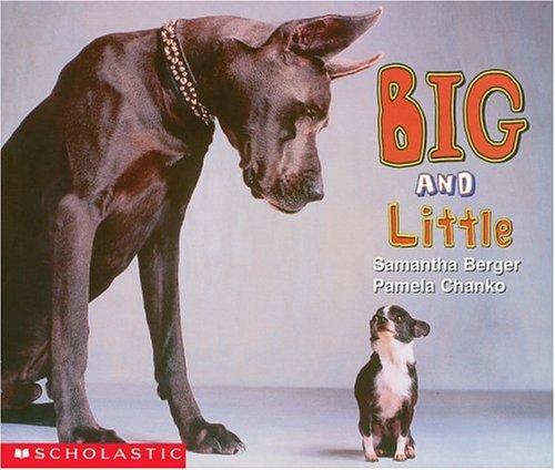 Cover of Big and little