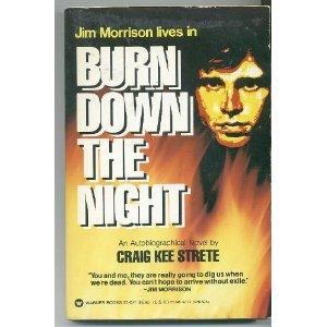 Cover of Burn down the night