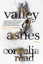 Cover of Valley of ashes