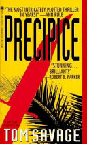 Cover of Precipice