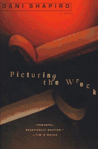 Cover of Picturing the wreck