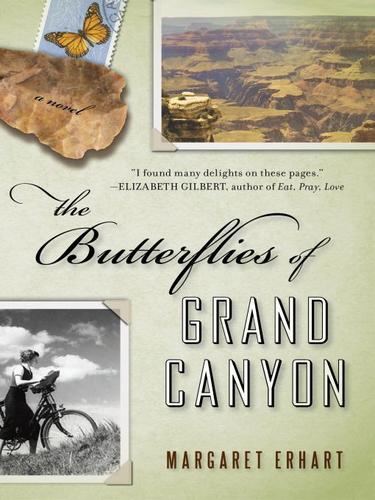 Cover of The butterflies of Grand Canyon
