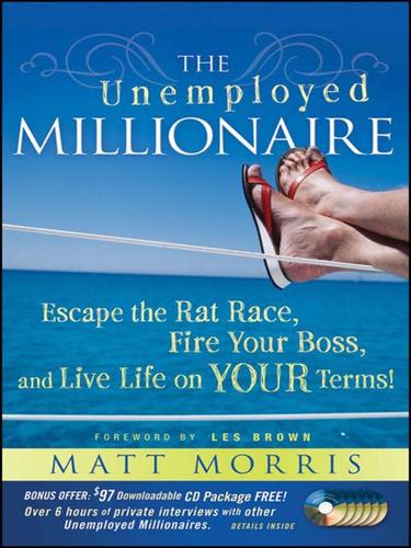 Cover of The unemployed millionaire