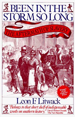 Cover of Been in the Storm So Long: The Aftermath of Slavery
