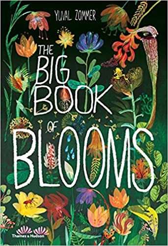 Cover of Big Book of Blooms