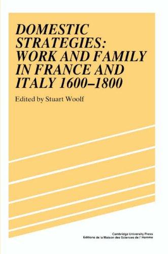 Cover of Domestic Strategies