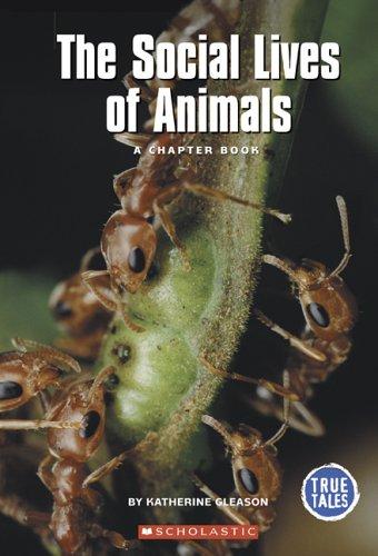 Cover of The Social Lives Of Animals