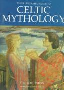 Cover of The Illustrated Guide to Celtic Mythology