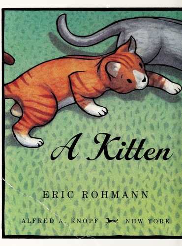 Cover of A kitten tale