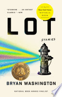 Cover of Lot