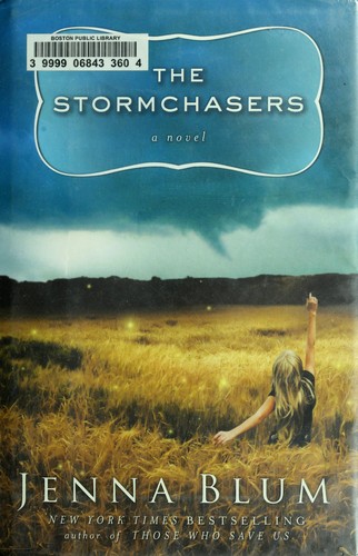 Cover of The Stormchasers