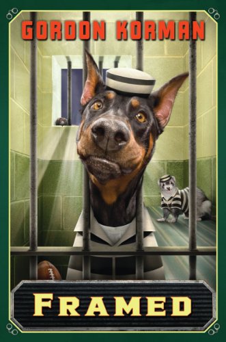 Cover of Framed