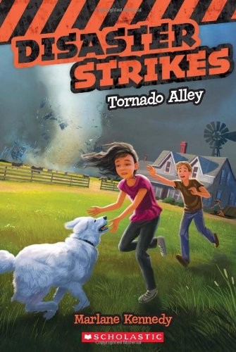Cover of Disaster Strikes #2: Tornado Alley