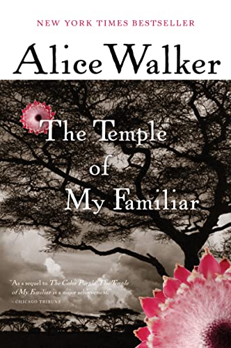 Cover of The Temple Of My Familiar