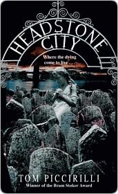 Cover of Headstone City