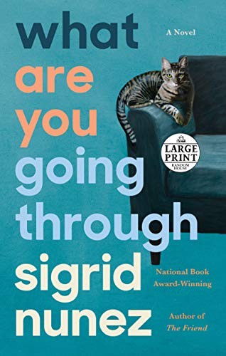 Cover of What Are You Going Through