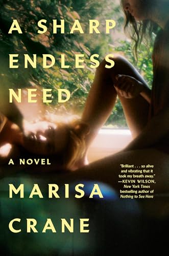 Cover of A Sharp Endless Need