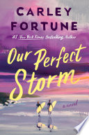 Cover of Our Perfect Storm