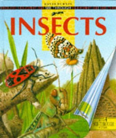 Cover of Insects