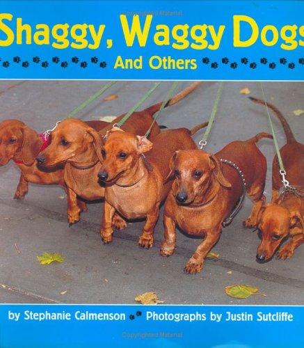 Cover of Shaggy, Waggy Dogs