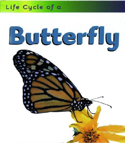 Cover of Butterfly (Life Cycle of A...)