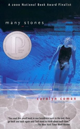 Cover of Many Stones (Turtleback School & Library Binding Edition)