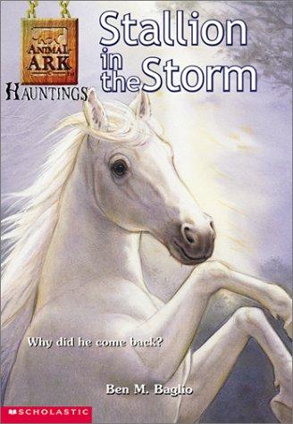Cover of Stallion in the Storm (Animal Ark Hauntings #1)