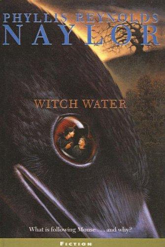 Cover of Witch Water