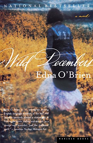 Cover of Wild Decembers