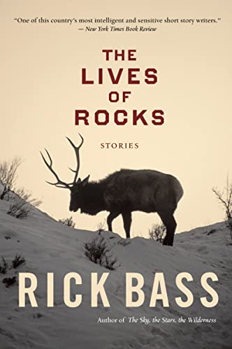 Cover of The Lives Of Rocks