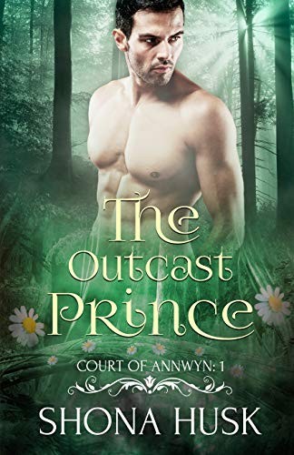 Cover of The outcast prince