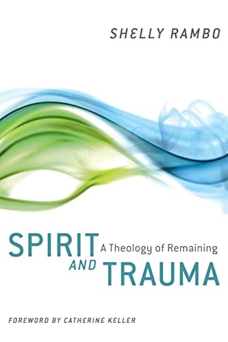 Cover of Spirit and trauma