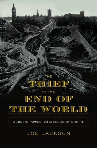 Cover of The Thief at the End of the World