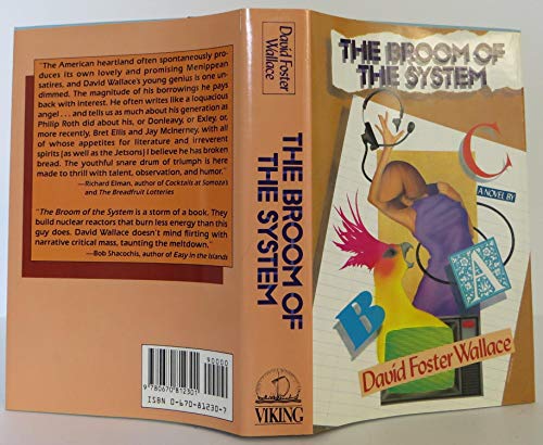 Cover of The Broom of the System