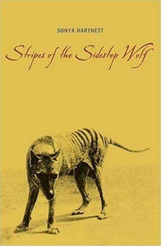 Cover of Stripes of the sidestep wolf
